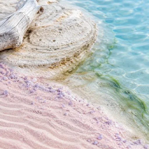 Beyond the Hotel Spa: Cancun's Standalone Wellness Experiences Worth Leaving the Resort For