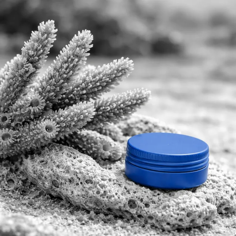 Reef-Safe Sunscreen and Beyond: What Responsible Snorkeling Looks Like in Cancun